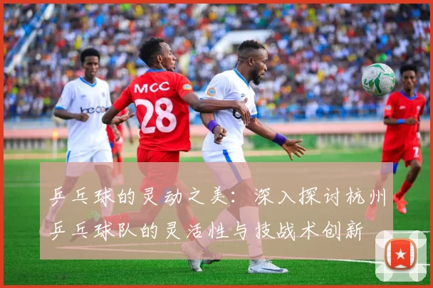 乒乓球的灵动之美：深入探讨杭州乒乓球队的灵活性与技战术创新