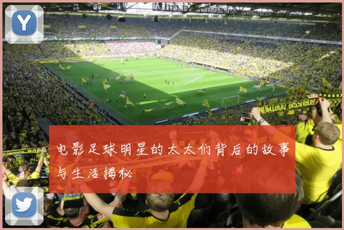 电影足球明星的太太们背后的故事与生活揭秘