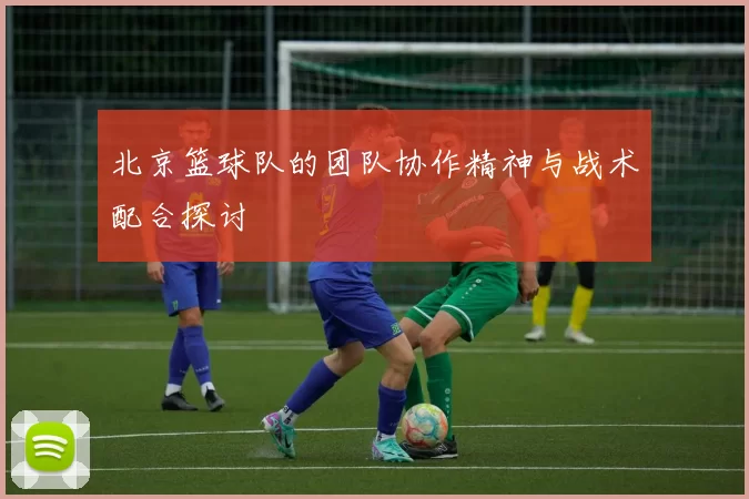北京篮球队的团队协作精神与战术配合探讨