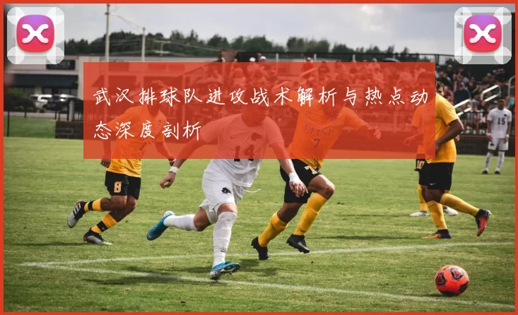 武汉排球队进攻战术解析与热点动态深度剖析