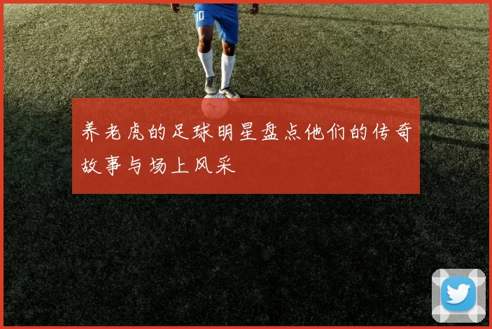养老虎的足球明星盘点他们的传奇故事与场上风采