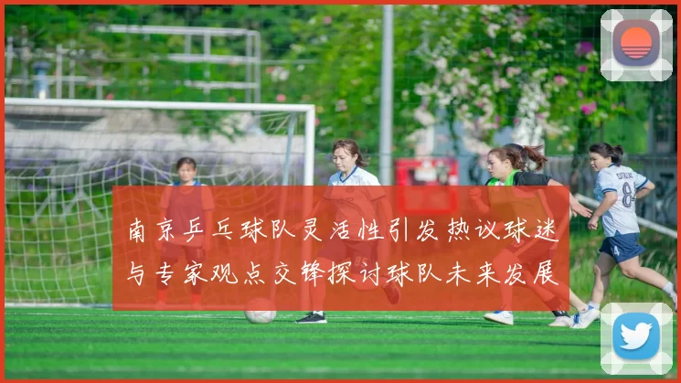 南京乒乓球队灵活性引发热议球迷与专家观点交锋探讨球队未来发展