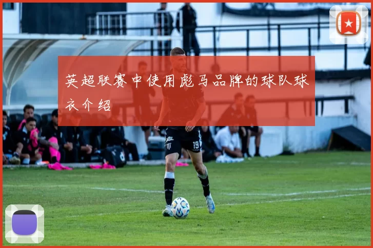 英超联赛中使用彪马品牌的球队球衣介绍