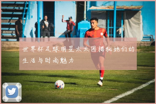 世界杯足球明星太太团揭秘她们的生活与时尚魅力