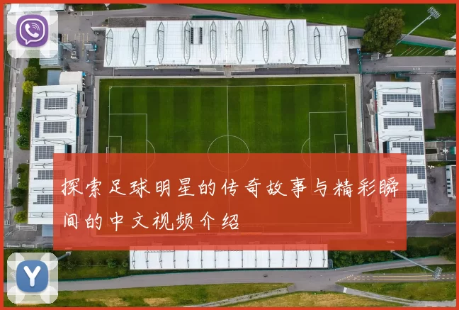 探索足球明星的传奇故事与精彩瞬间的中文视频介绍