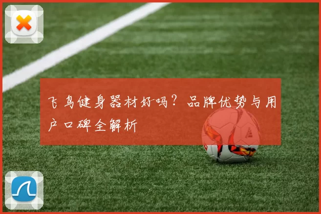 飞鸟健身器材好吗？品牌优势与用户口碑全解析