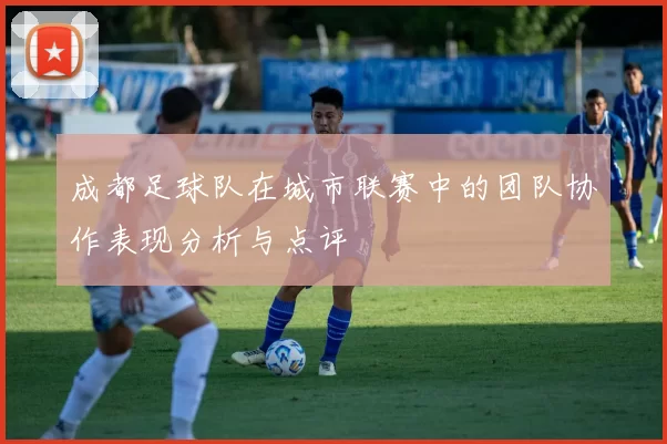成都足球队在城市联赛中的团队协作表现分析与点评