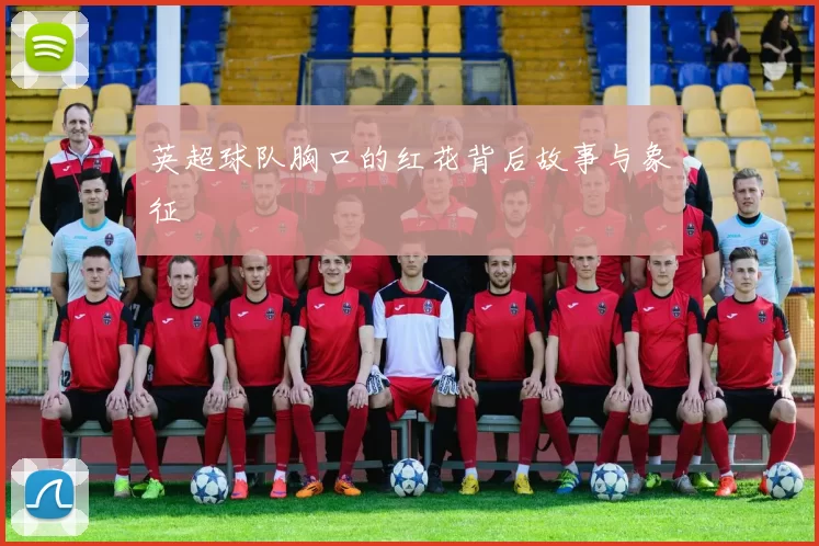 英超球队胸口的红花背后故事与象征